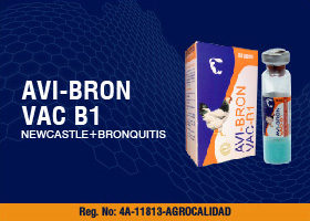 AVI-BRON-VAC B1