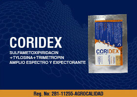 CORIDEX