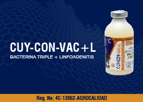 Cuy-Con-Vac+L